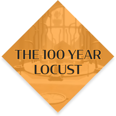 The 100 Year Locust